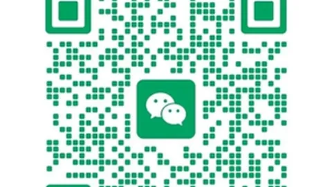 尼克斯老鹰篮球赛事解析，专家精选推荐